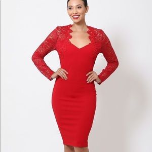 Crochet-lace Bodycon Dress
